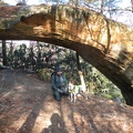 Sheltowee Trace